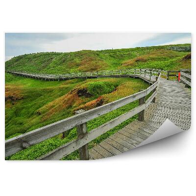 Papier peint Plate-forme en bois champs verts herbe