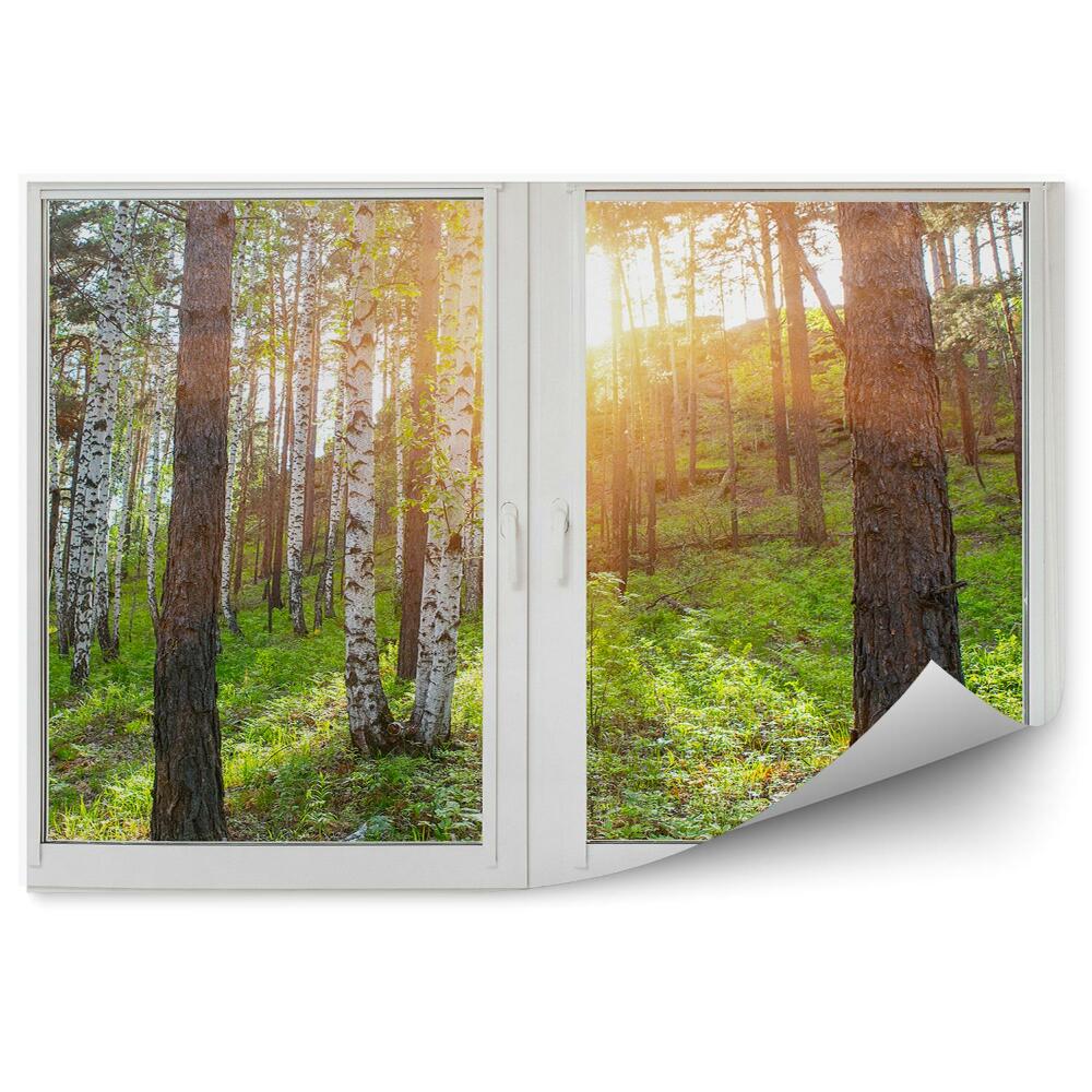 Papier peint Arbres De Noël Plantes Vertes De L'autre Côté De La Fenêtre