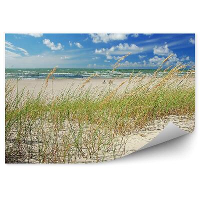 Papier peint Dunes De Plage Herbe Océan Nuages Ciel Ventspils Lettonie