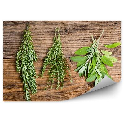 Papier peint panoramique Romarin thym sauge herbes fraîches brins