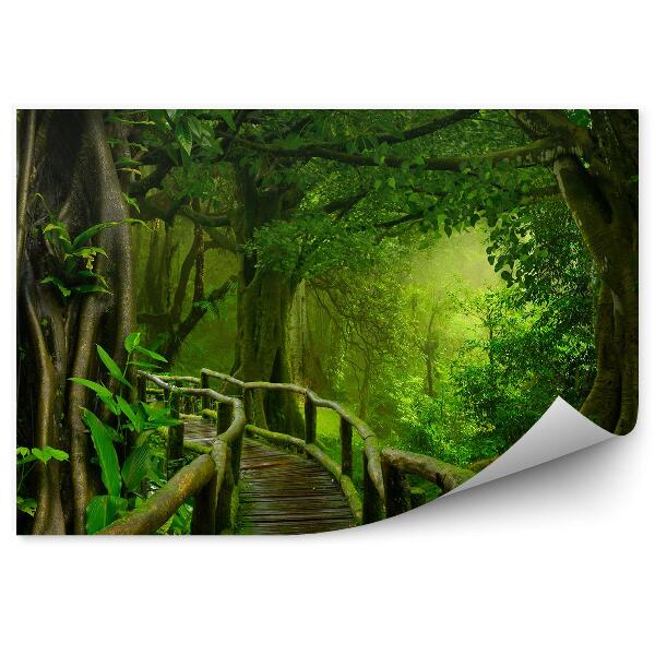 Papier peint Pont Mousse Arbres Feuilles Thaïlande