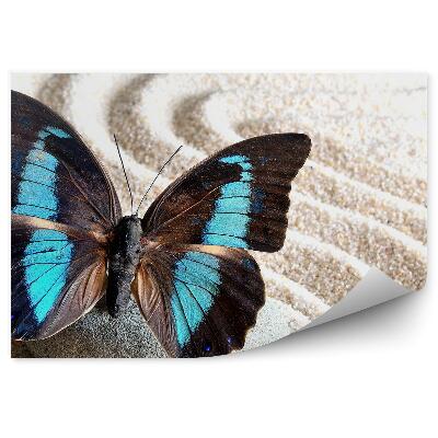 Papier peint Papillon Noir Ailes Bleues Taches Sable Pierre