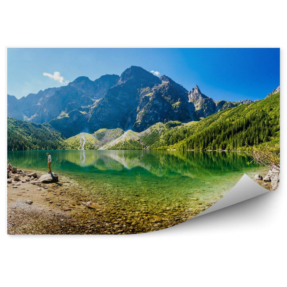 Papier peint panoramique Feuilles de jungle