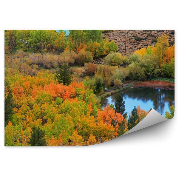 Papier peint Belle vallée Arbres d'automne Étang