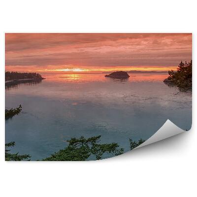 Papier peint Coucher De Soleil Arbres Baie Rocher