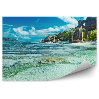 Papier peint Roches Plantes Océan Ciel Nuages Palmes Seychelles