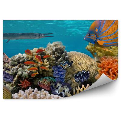 Papier peint Scène Sous-Marine D'un Récif Corallien