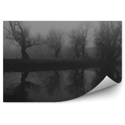 Papier peint Lac De Forêt Sombre