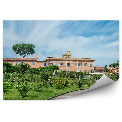 Papier peint Paysage Roseraie Rome Plantes