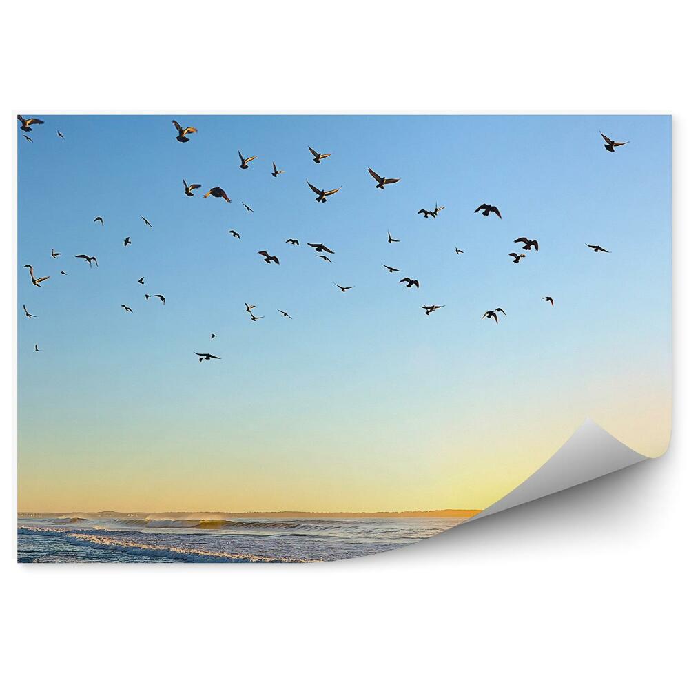 Papier peint Lever De Soleil Océan Atlantique Oiseaux Vagues Plage