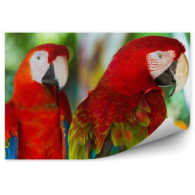 Papier peint Aryas De L'île De Bali