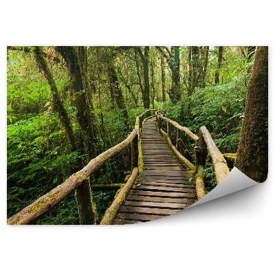 Papier peint Paysage Jungle Pont Bois Mousse Feuilles