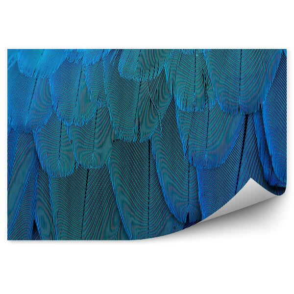 Papier peint Texture Des Plumes D'un Perroquet Bleu