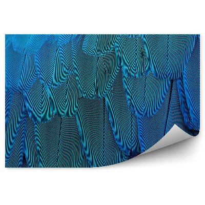 Papier peint Texture Des Plumes D'un Perroquet Bleu
