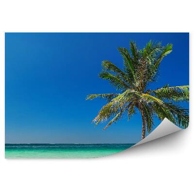 Papier peint Plage Tropicale Océan Palmier Ciel
