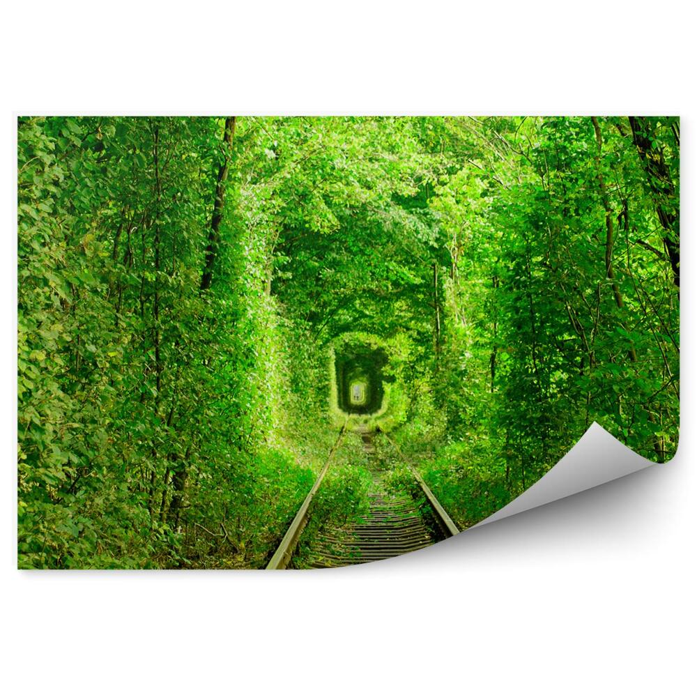 Papier peint Tunnel Vert Voies D'arbres