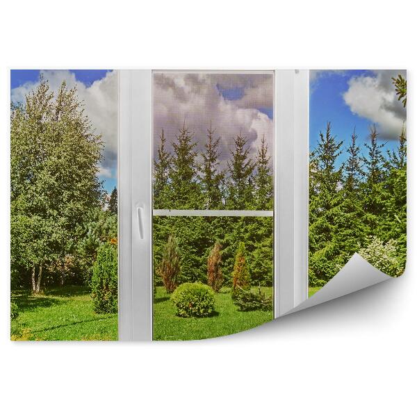 Papier peint Petit jardin forestier près de la maison