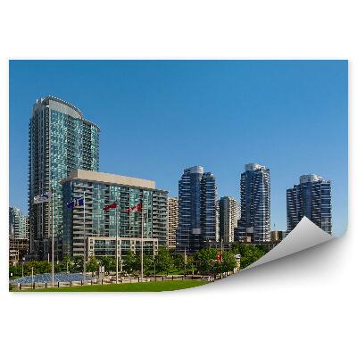 Papier peint Panorama De La Ville De Toronto Parc Olympique Herbe