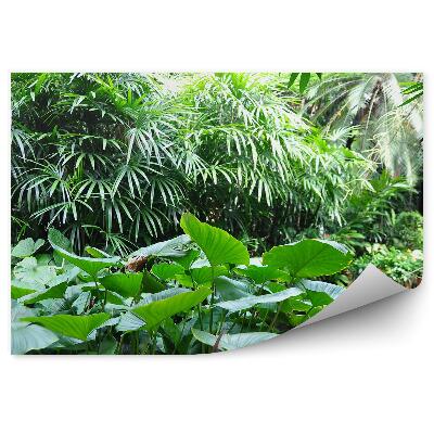 Papier peint Jardin vert Asie tropicale