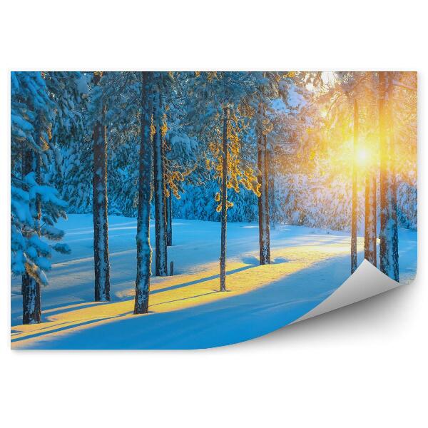 Papier peint Forêt en hiver au lever du soleil