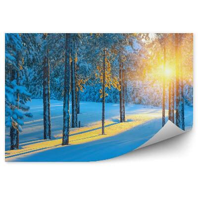 Papier peint Forêt en hiver au lever du soleil