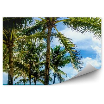 Papier peint Palmiers à Miami Beach