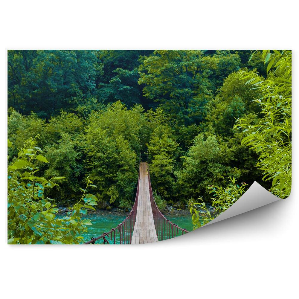 Papier peint Pont De Corde Arbres Plantes Montagne Rivière