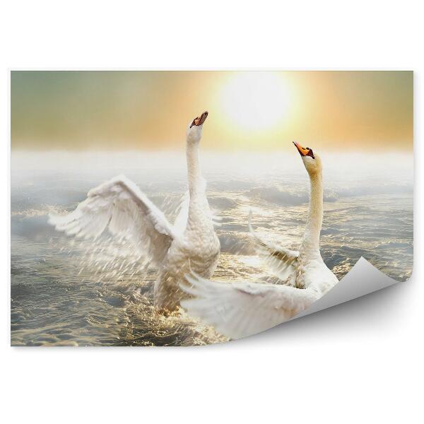 Papier peint Cygnes Dansant Sur Les Vagues