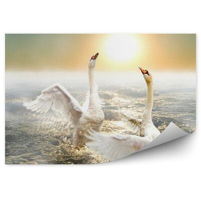 Papier peint Cygnes Dansant Sur Les Vagues