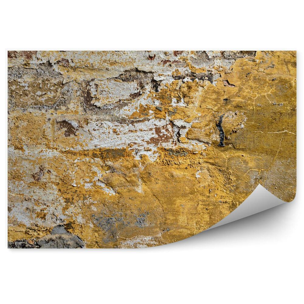 Papier peint Mur de briques avec chute d'enduit