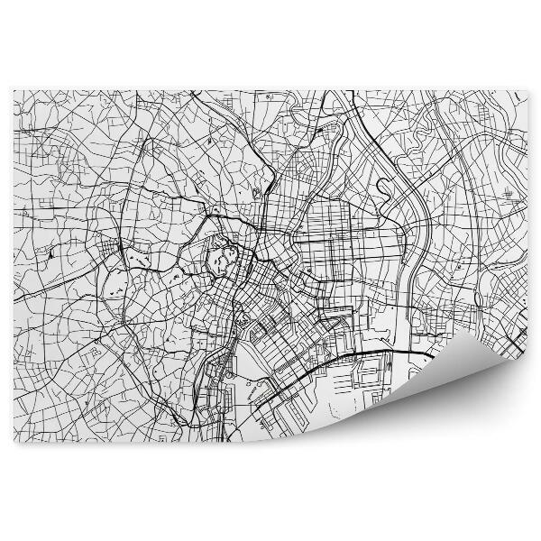 Papier peint Japon tokyo city plan projection map