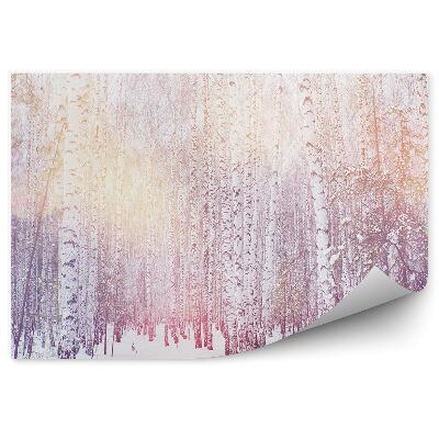 Papier peint Lumière, Soleil, Hiver, Forêt De Neige, Arbres