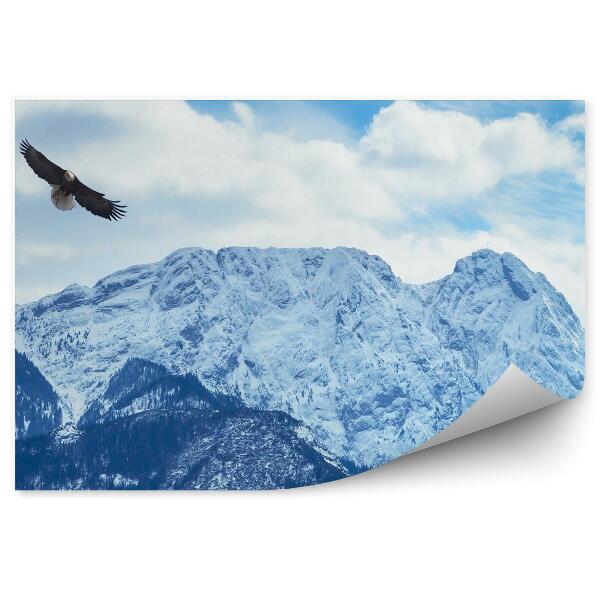 Papier peint Hiver Neige Montagnes Tatra Haut Ciel Nuages Aigles Oiseaux
