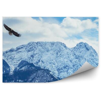 Papier peint Hiver Neige Montagnes Tatra Haut Ciel Nuages Aigles Oiseaux
