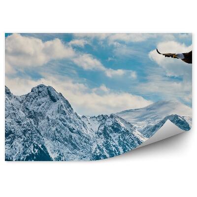 Papier peint Hiver Neige Montagnes Tatra Haut Ciel Nuages Aigles Oiseaux