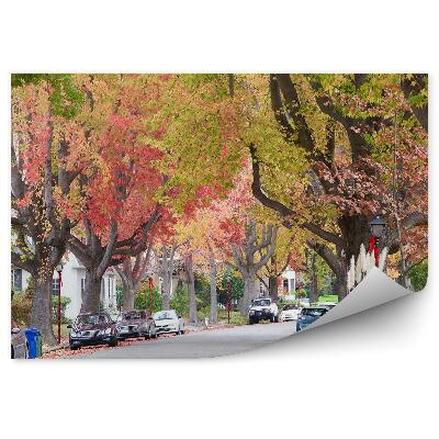 Papier peint Arbres d'automne colorés Rue Voitures Ville