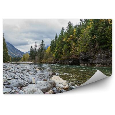 Papier peint Arbres de Noël Forêt verte Rivière Pierres Collines