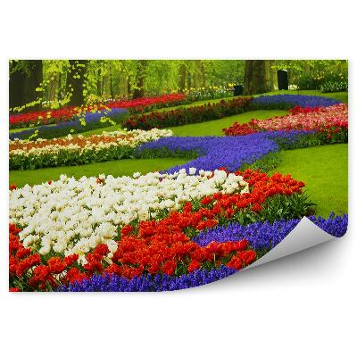 Papier peint Jardin de fleurs printanières colorées aux Pays-Bas