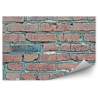 Papier peint Mur de briques gelées