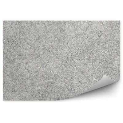 Papier peint Mur en béton beige