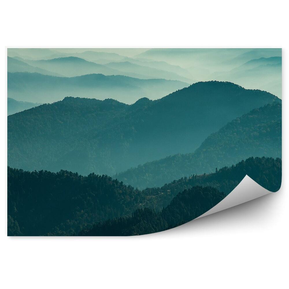 Papier peint Paysage Vue Forêt Montagnes Brouillard