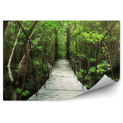 Papier peint Forêt verte en été, lumière tombant sur le pont suspendu