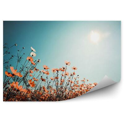 Tapisserie panoramique Champ dans le ciel