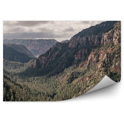 Papier peint Montagnes Arizona Arbres Conifères Ciel Nuages Californie