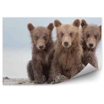 Papier peint Trois Petits Ours