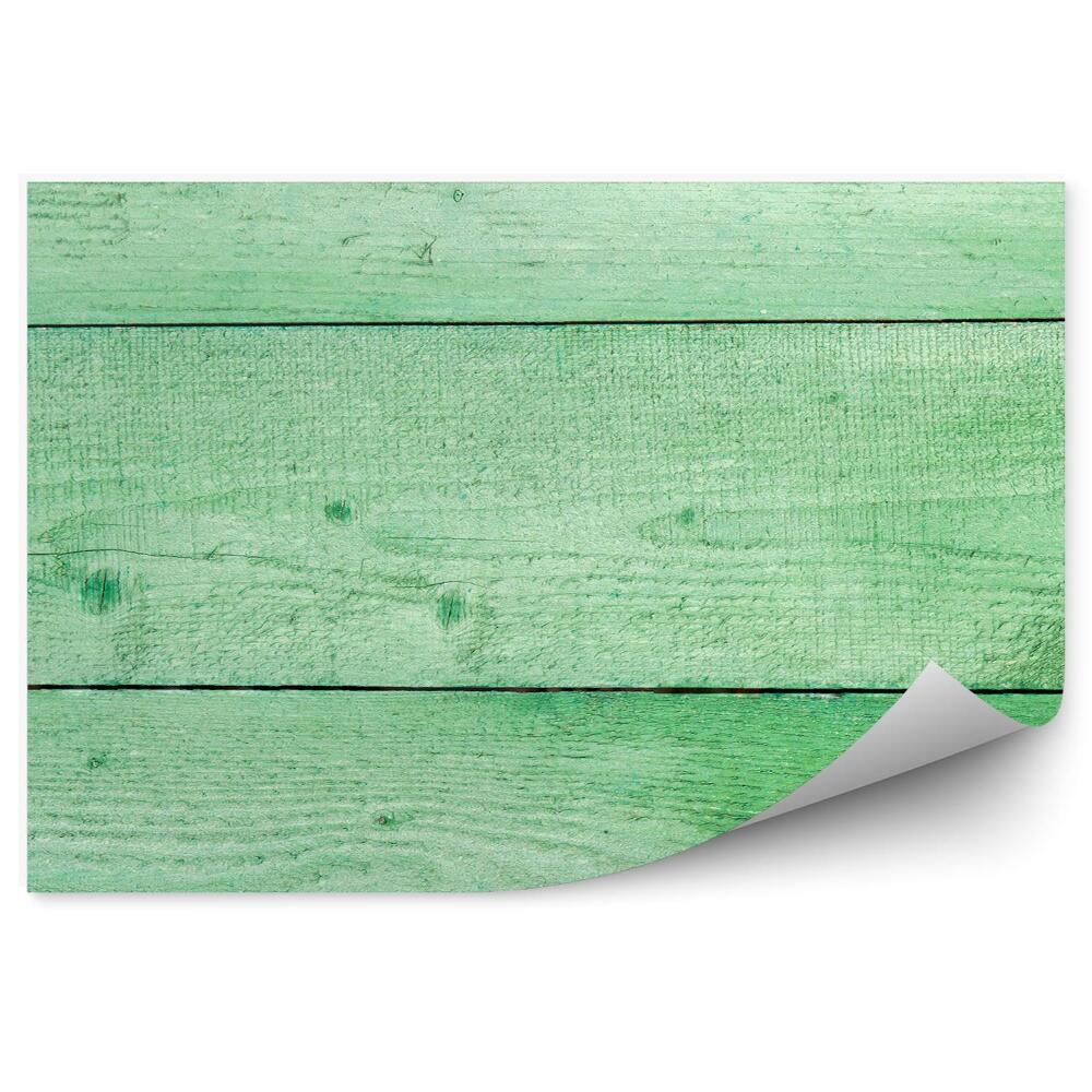 Papier peint Planches en bois vertes