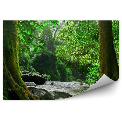 Papier peint Thaïlande Jungle Arbres Feuilles Roches