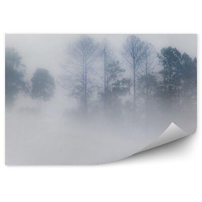 Papier peint Forêt Brumeuse