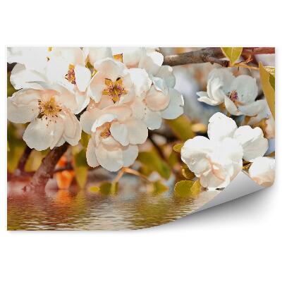 Papier peint Branche de fleurs blanches feuilles de pommier d'eau