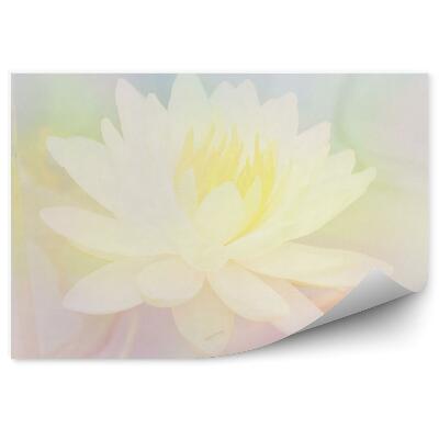 Papier peint Fleur de lotus jaune fond pastel